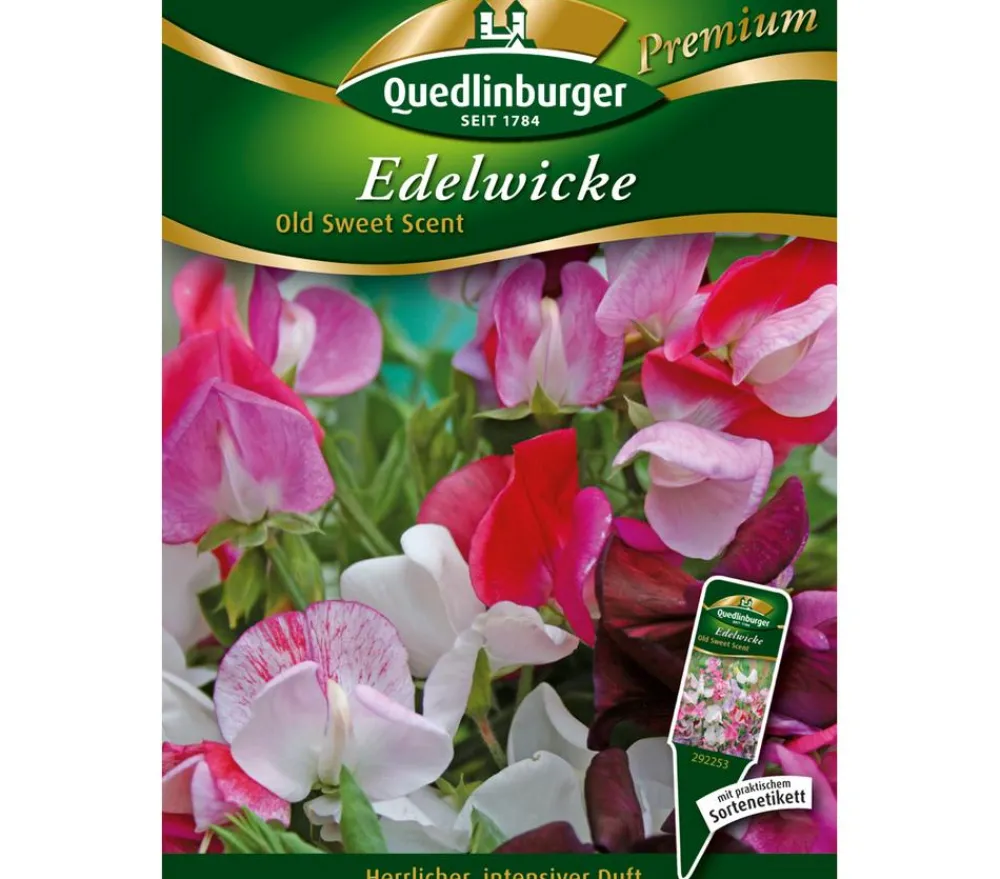 Quedlinburger Blumensamen > Samen Edelwicke 'Old Sweet Scent'