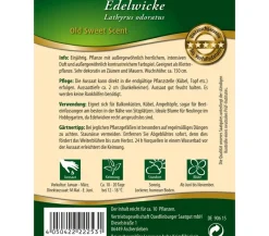 Quedlinburger Blumensamen > Samen Edelwicke 'Old Sweet Scent'
