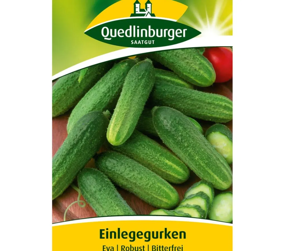 Quedlinburger Samen Einlegegurke 'Eva' Clearance