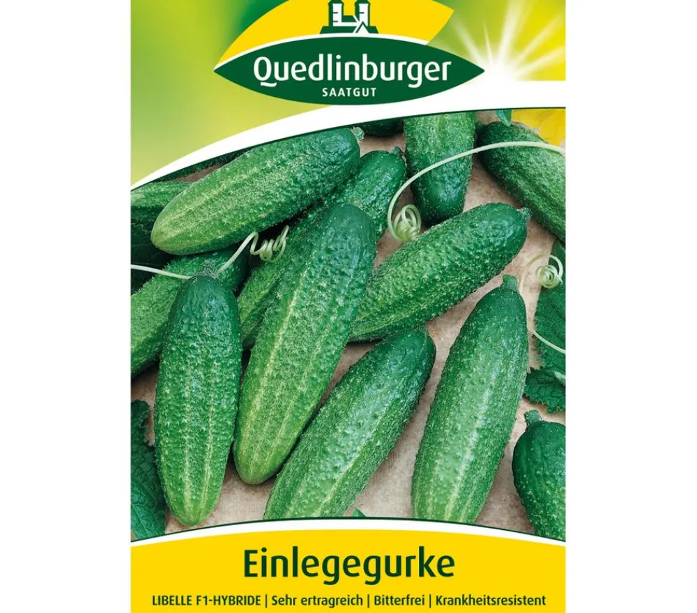 Quedlinburger Gemüsesamen > Samen Einlegegurke 'Libelle'