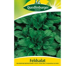 Quedlinburger Gemüsesamen - Samen Feldsalat 'Holländischer Breitblättriger'