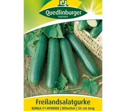 Quedlinburger Gemüsesamen - Samen Freilandsalatgurke 'Konsa'