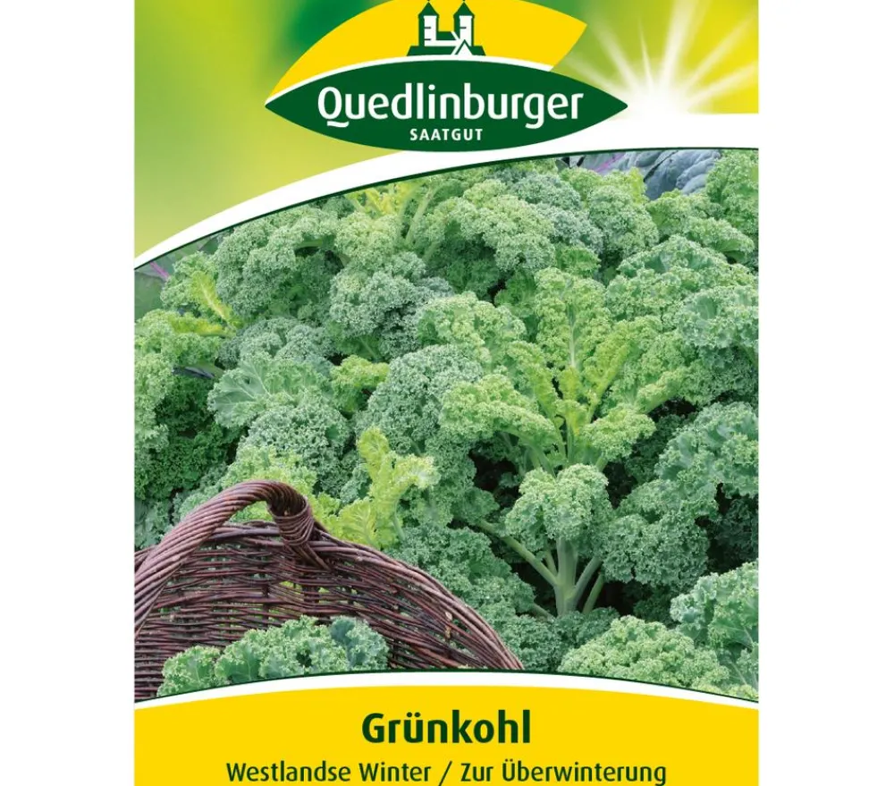 Quedlinburger Samen Grünkohl 'Westlandse Winter' Best
