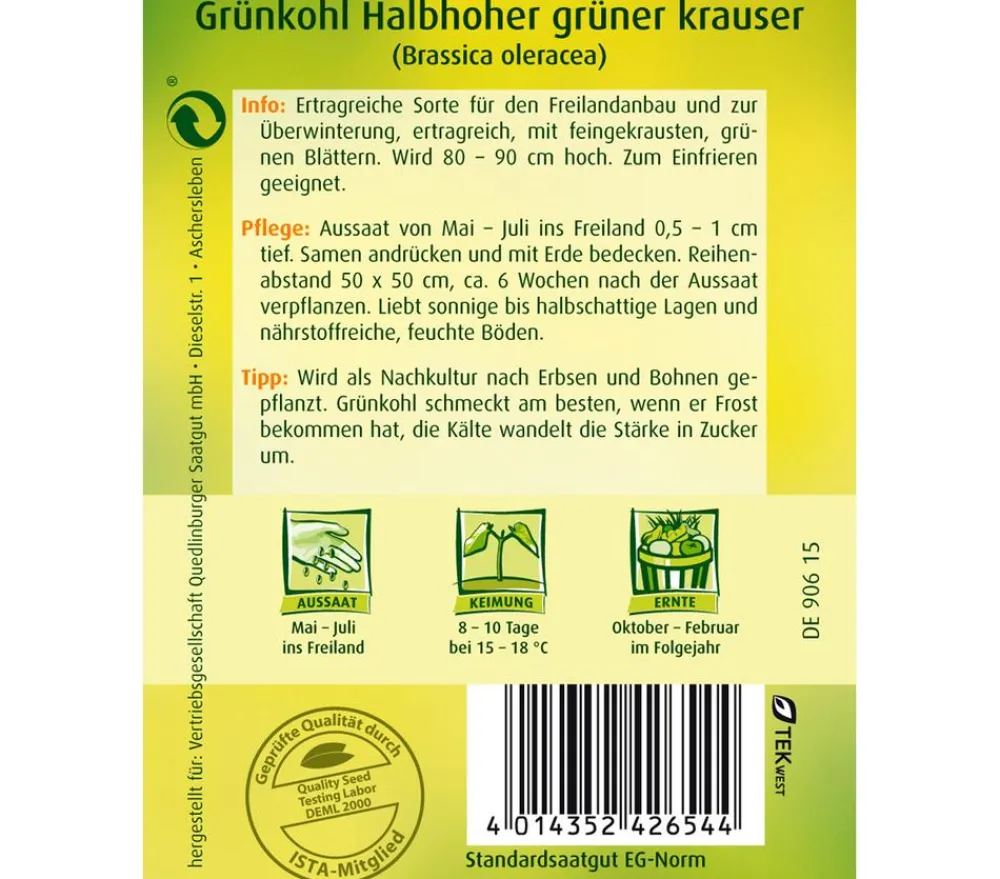 Quedlinburger Gemüsesamen - Samen Grünkohl 'Halbhoher Grüner Krauser'