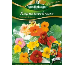 Quedlinburger Blumensamen > Samen Kapuzinerkresse 'Variegated Queen'
