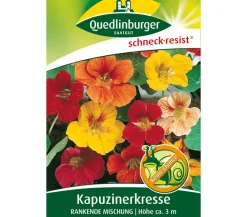 Quedlinburger Samen Kapuzinerkresse 'Rankende Mischung' Discount