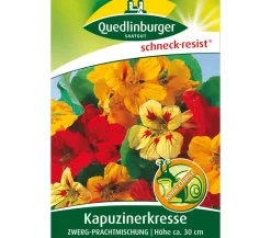 Quedlinburger Samen Kapuzinerkresse 'Zwerg-Prachtmischung' Bunt Online