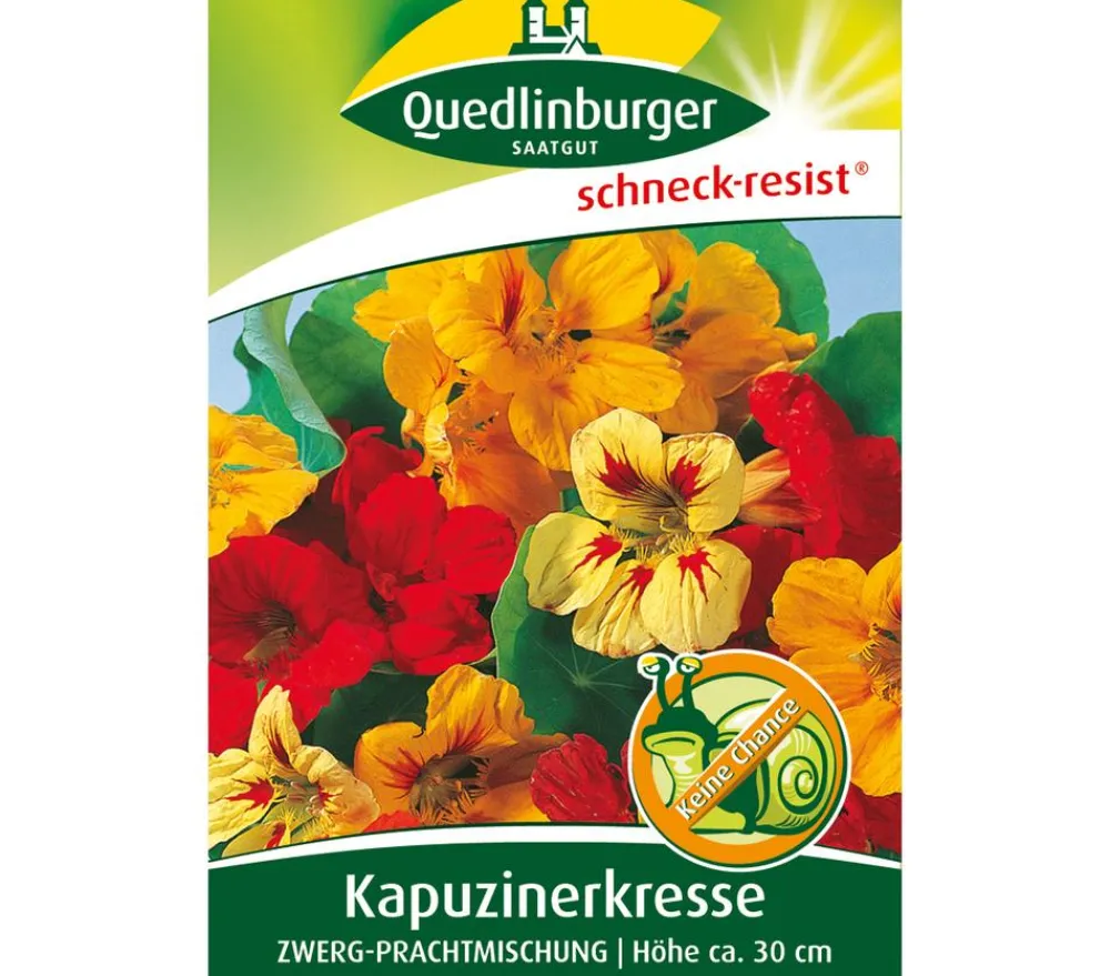 Quedlinburger Samen Kapuzinerkresse 'Zwerg-Prachtmischung' Bunt Online