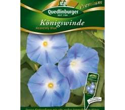 Quedlinburger Blumensamen - Samen Königswinde 'Heavenly Blue' Blau