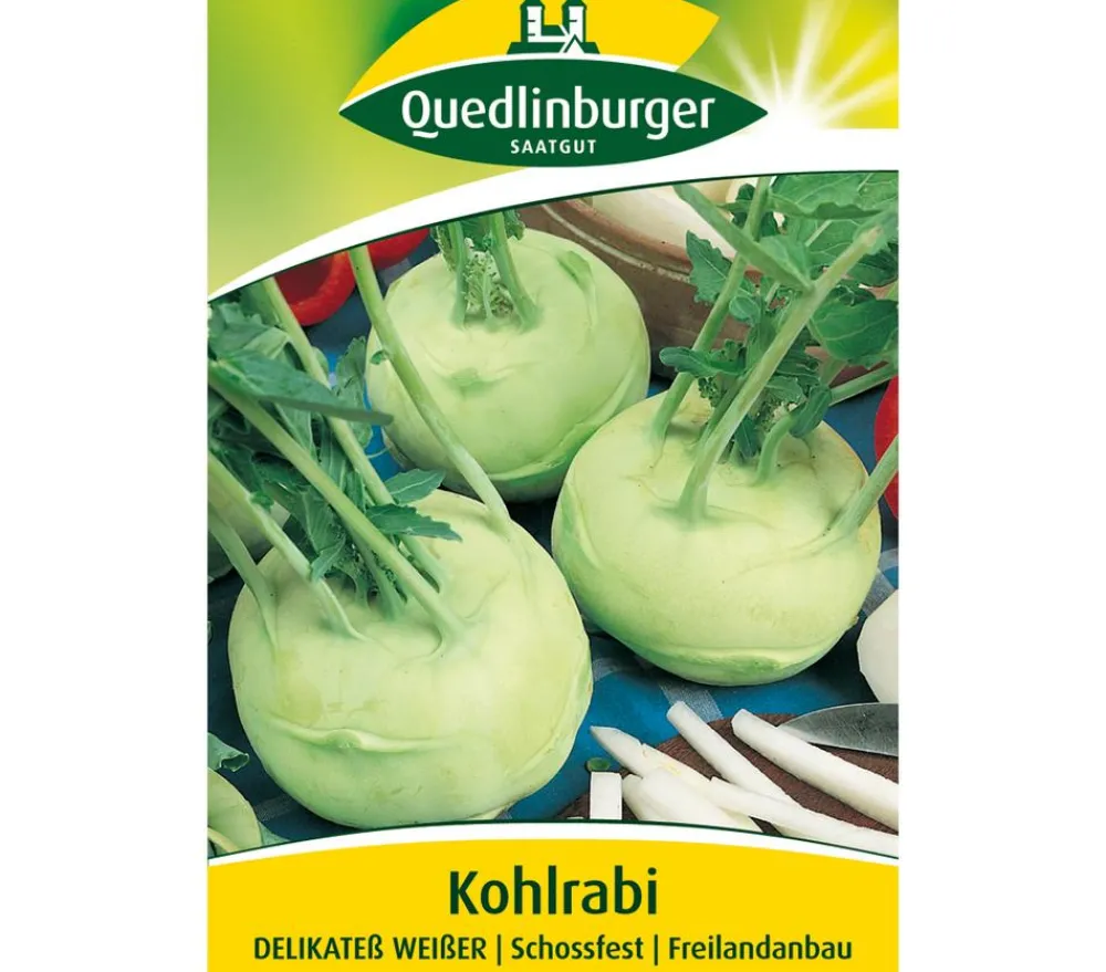 Quedlinburger Gemüsesamen > Samen Kohlrabi 'Delikateß Weißer'