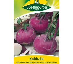 Quedlinburger Gemüsesamen - Samen Kohlrabi 'Delikatess Blauer'