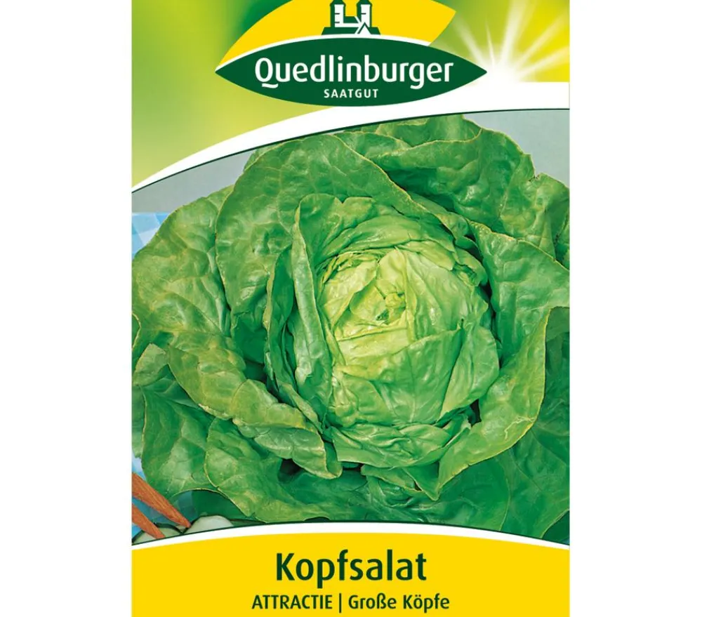 Quedlinburger Samen Kopfsalat 'Attractie' Hot