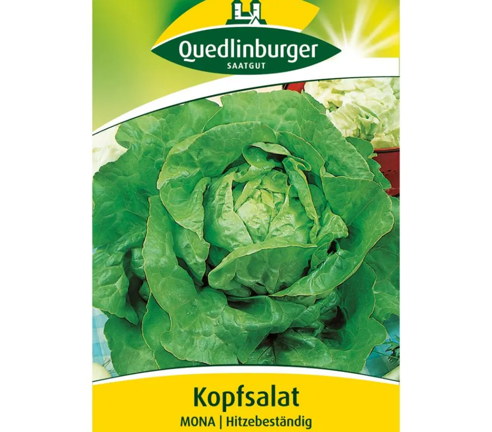 Quedlinburger Gemüsesamen > Samen Kopfsalat 'Mona'