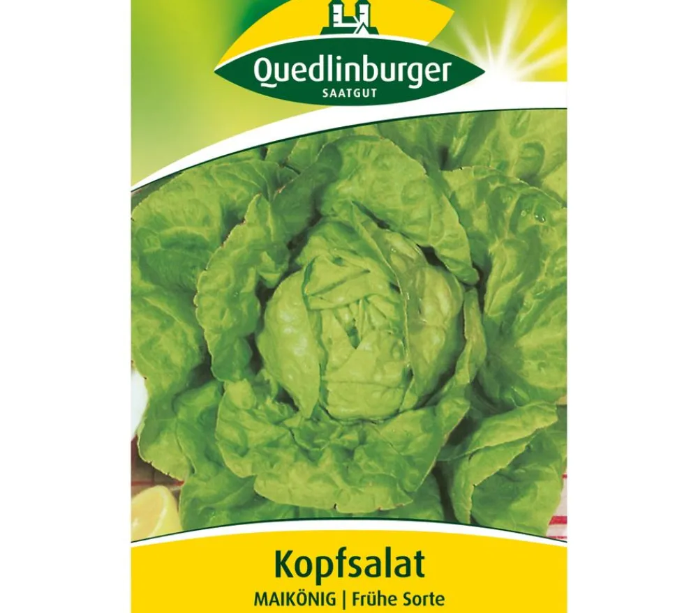 Quedlinburger Gemüsesamen - Samen Kopfsalat 'Maikönig'