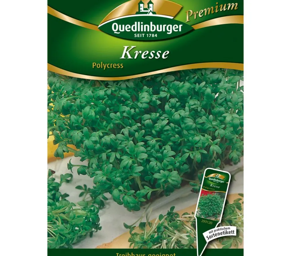 Quedlinburger Kräutersamen > Samen Kresse 'Polycress'