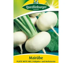 Quedlinburger Samen Mairübe 'Platte Witte Mei' Clearance