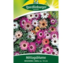 Quedlinburger Samen Mittagsblume 'Mischung' Bunt Sale