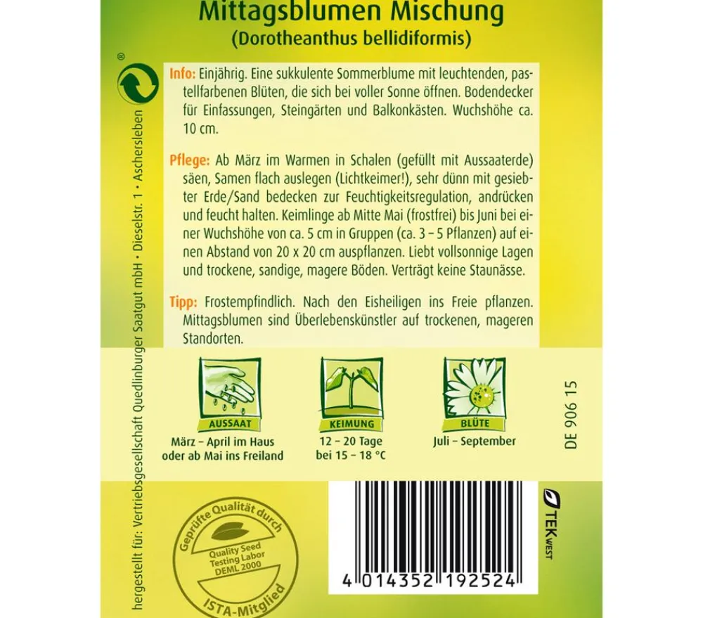 Quedlinburger Samen Mittagsblume 'Mischung' Bunt Sale