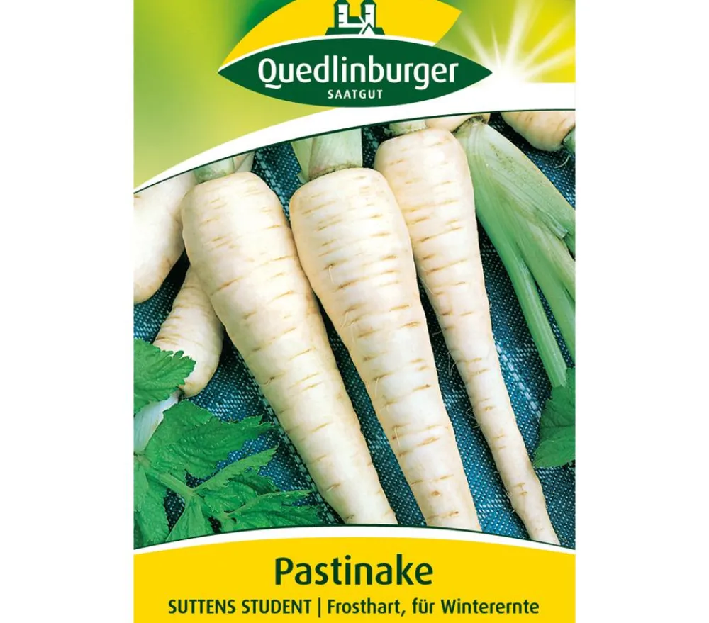 Quedlinburger Samen Pastinake 'Suttens Student' Sale