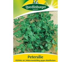 Quedlinburger Samen Petersilie 'Festival 68' Hot