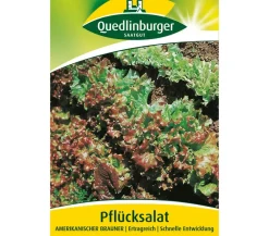 Quedlinburger Samen Pflücksalat 'Amerikanischer Brauner' Discount