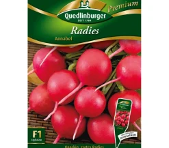 Quedlinburger Gemüsesamen > Samen Radies 'Annabel'