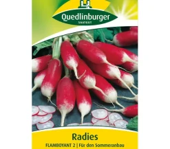 Quedlinburger Gemüsesamen > Samen Radies 'Flamboyant 2'
