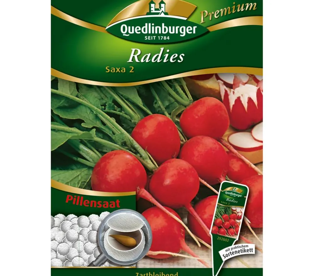 Quedlinburger Samen Radies 'Saxa 2' New