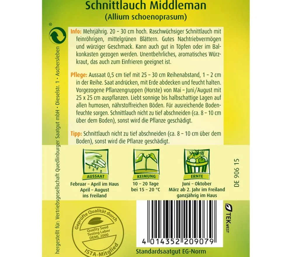 Quedlinburger Samen Schnittlauch 'Middleman' Outlet