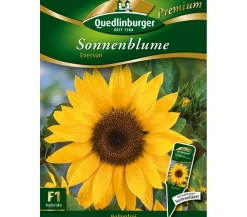 Quedlinburger Blumensamen - Samen Sonnenblume 'Eversun' Gelb
