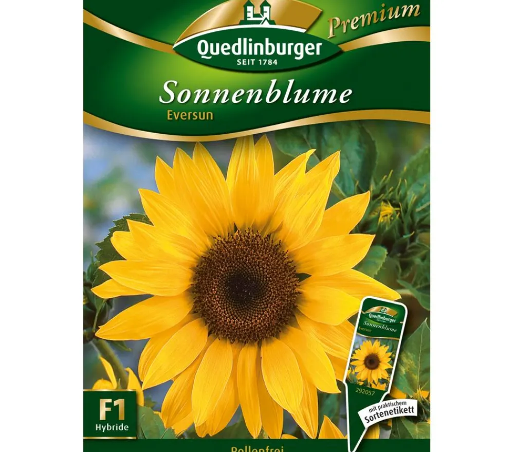 Quedlinburger Blumensamen - Samen Sonnenblume 'Eversun' Gelb