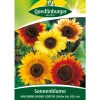 Quedlinburger Blumensamen > Samen Sonnenblumen 'Mischung hoher Sorten'