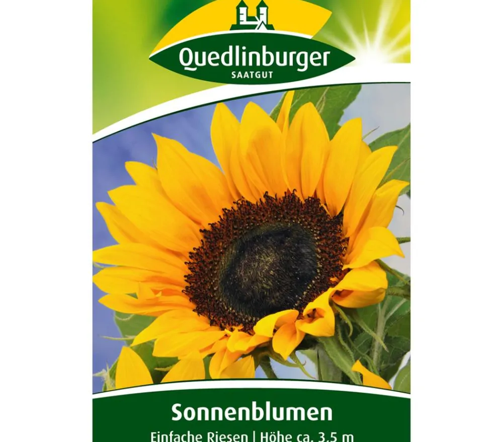 Quedlinburger Blumensamen > Samen Sonnenblumen 'Einfache Riesen'