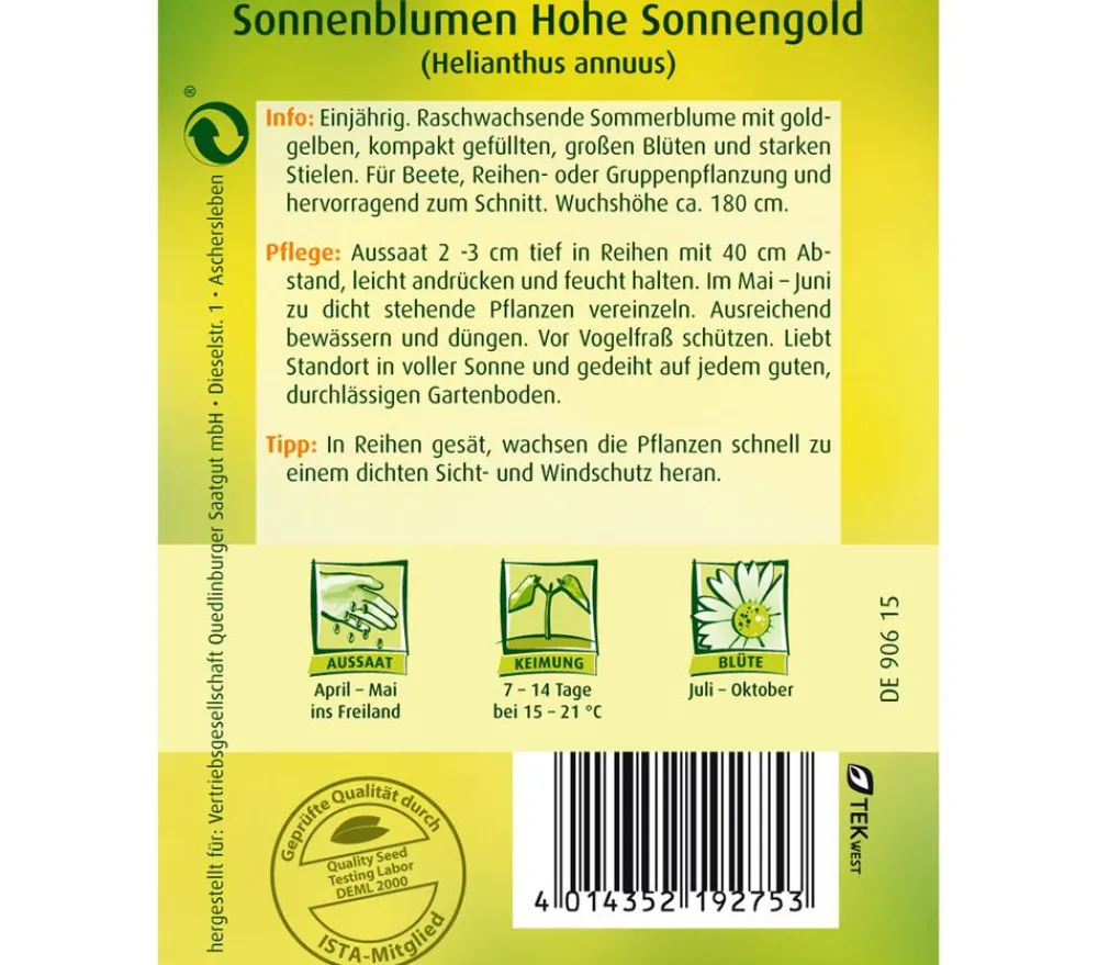 Quedlinburger Blumensamen - Samen Sonnenblume 'Hohe Sonnengold' Gelb