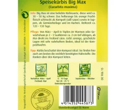 Quedlinburger Gemüsesamen > Samen Speisekürbis 'Big Max'