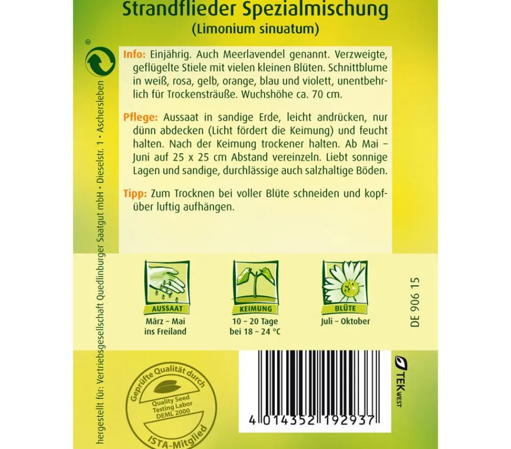 Quedlinburger Samen Strandflieder 'Spezialmischung' Clearance