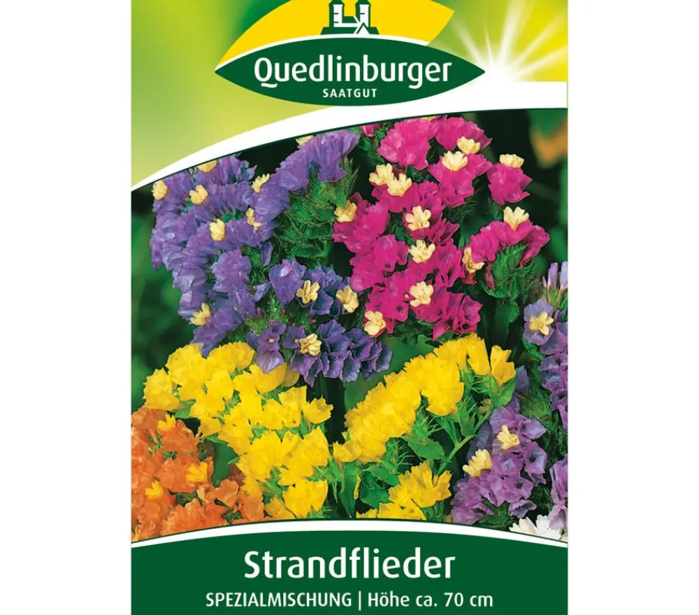 Quedlinburger Samen Strandflieder 'Spezialmischung' Clearance