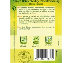 Quedlinburger Blumensamen > Samen Zinnie 'Dhalienblütige Mischung'