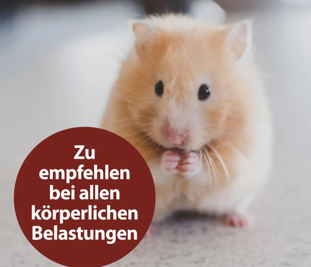 Quiko® Nahrungsergänzung Für Tiere|Nahrungsergänzung Kleintiere > Ergänzungsfutter für Nager Multivitaminsaft Vitacombex® Na