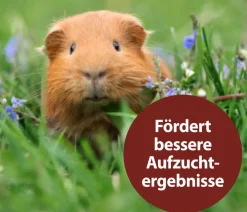 Quiko® Nahrungsergänzung Für Tiere|Nahrungsergänzung Kleintiere > Ergänzungsfutter für Nager Multivitaminsaft Vitacombex® Na