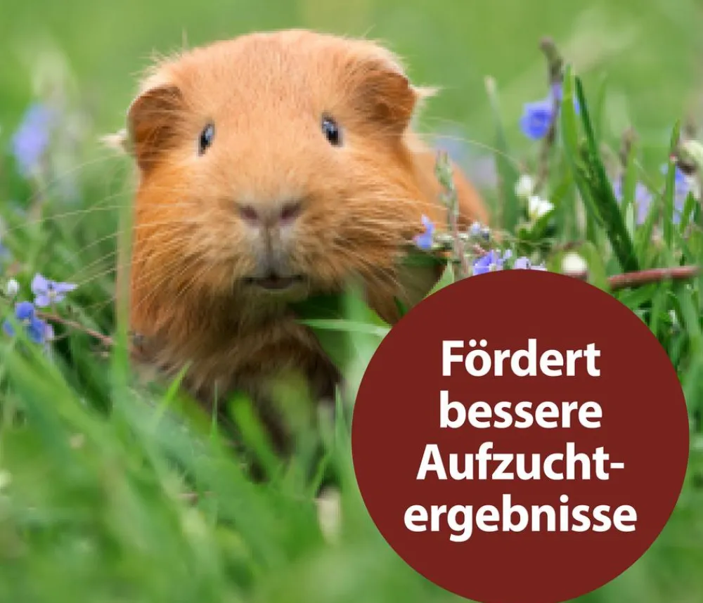 Quiko® Nahrungsergänzung Für Tiere|Nahrungsergänzung Kleintiere > Ergänzungsfutter für Nager Multivitaminsaft Vitacombex® Na