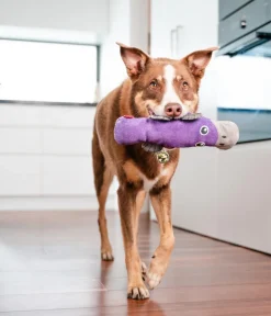 Red Dingo Hundespielzeug > Hundespielzeug DURABLES Toys Schnabeltier