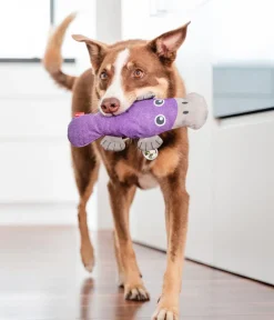 Red Dingo Hundespielzeug > Hundespielzeug DURABLES Toys Schnabeltier