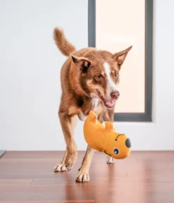 Red Dingo Hundespielzeug > Hundespielzeug DURABLES Toys Wombat