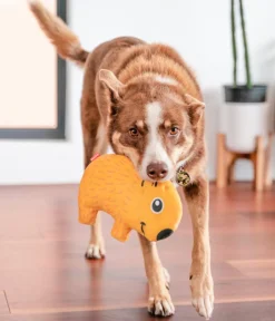 Red Dingo Hundespielzeug > Hundespielzeug DURABLES Toys Wombat