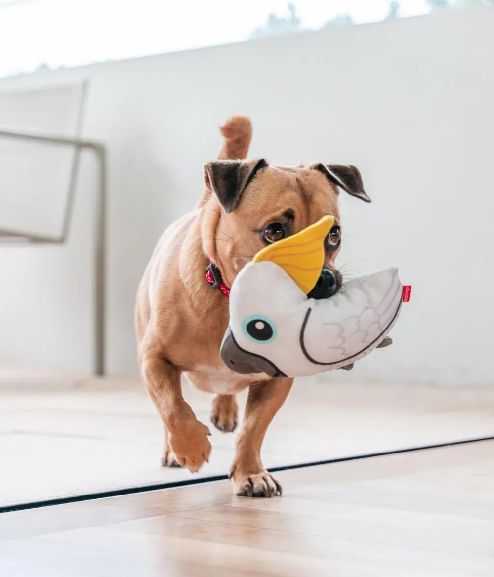 Red Dingo Hundespielzeug DURABLES Toys Kakadu Outlet