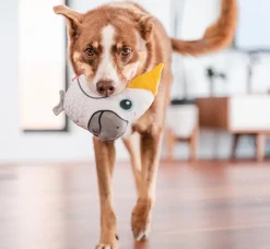 Red Dingo Hundespielzeug DURABLES Toys Kakadu Outlet