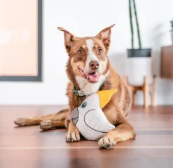 Red Dingo Hundespielzeug DURABLES Toys Kakadu Outlet