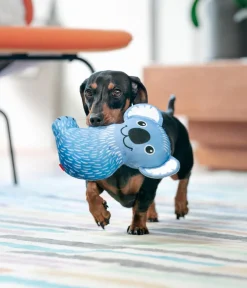 Red Dingo Hundespielzeug > Hundespielzeug DURABLES Toys Koala