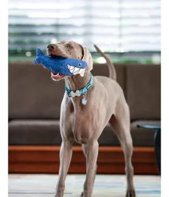 Red Dingo Hundespielzeug DURABLES Toys Hai Blau New